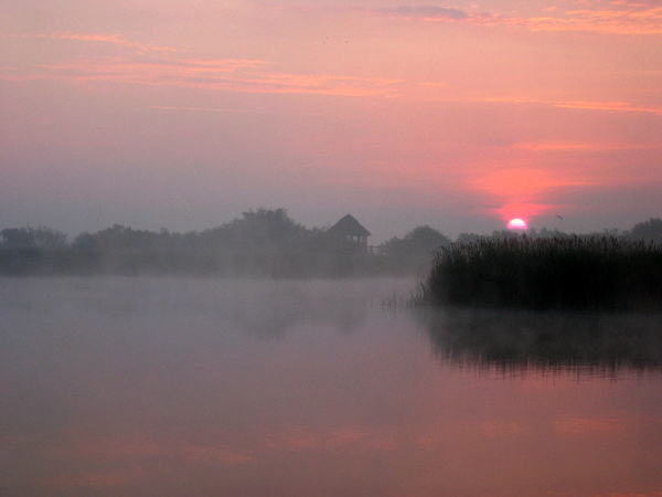 Dawn on Hickling Broad